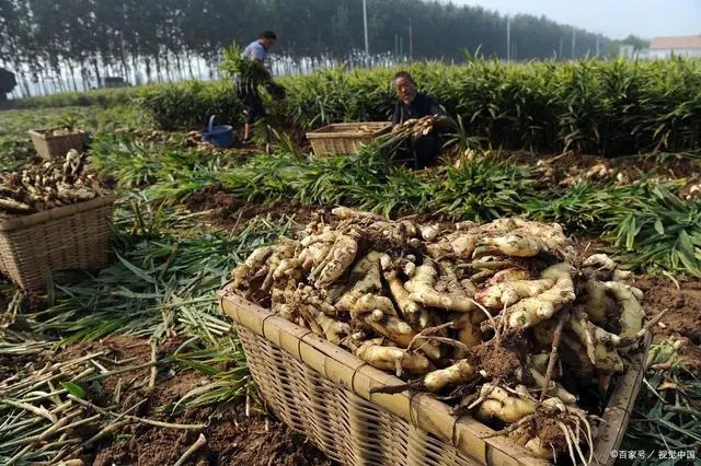 �������ʩ�ʣ�����ʩ��Ҫ�c(di��n)��