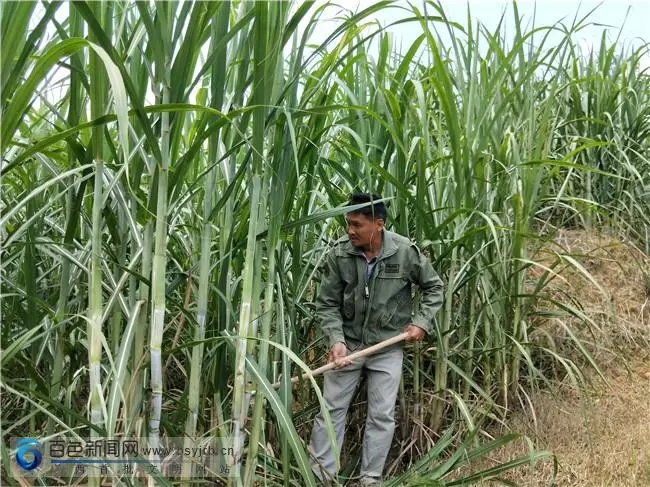 ����Nֲ��?n��i)~����Щ��̎����?n��i)~������ʲô��