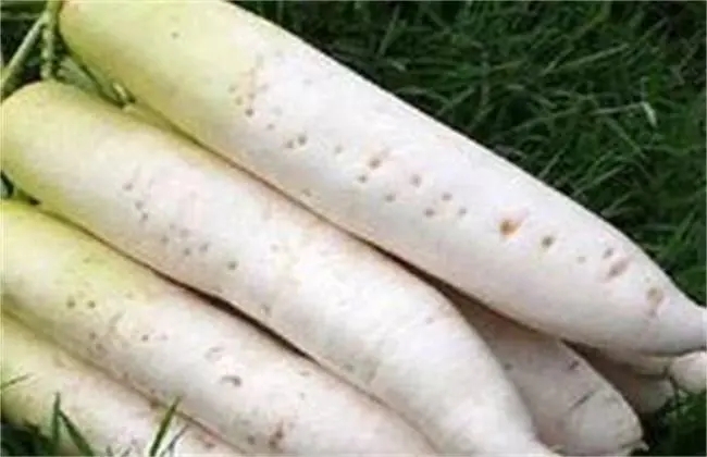 �}�����ĵ�ԭ����ʲô����α����}�����ģ�