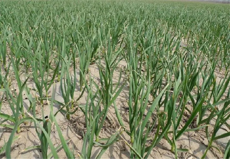 �������ʩˮ���ܸ߮a������߮a��ˮ���g��