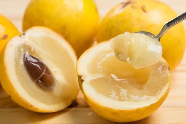 �S����ԓ��ηNֲ��ԓע����Щ�Nֲ���أ�