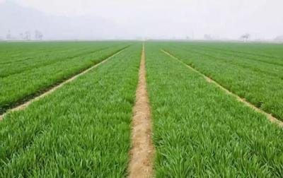 С���ƌW���ܱ��S�a