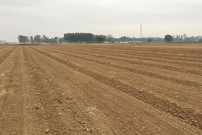 ���������a�}����Ҫ!��������ɣ�