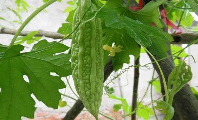 ������ʩ�ʣ����ʩ���^����ô�k��