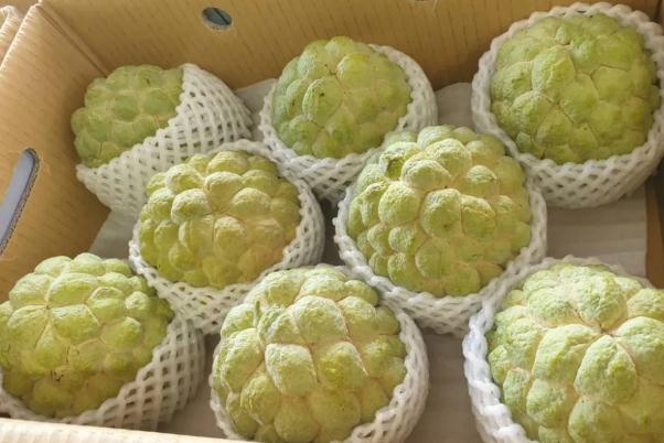 ��ȹ���ͬ���L�����ʩ�ʣ���ȹ�ʩ�ʼ��g��