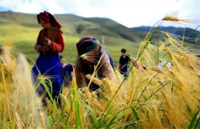 С��?zh��n)��׷�Ҫע��ʲô����?l��i)������!