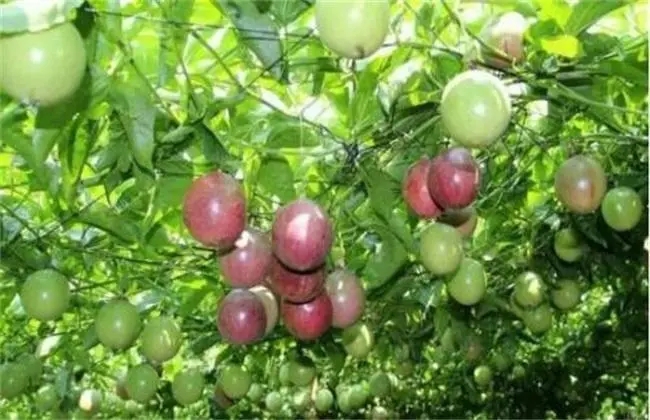 �r�r�����`���I�N�ӻ���Ҫע���@���c��