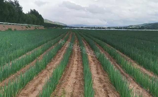 ˮ��������ô�k��ˮ������ķ��η�����