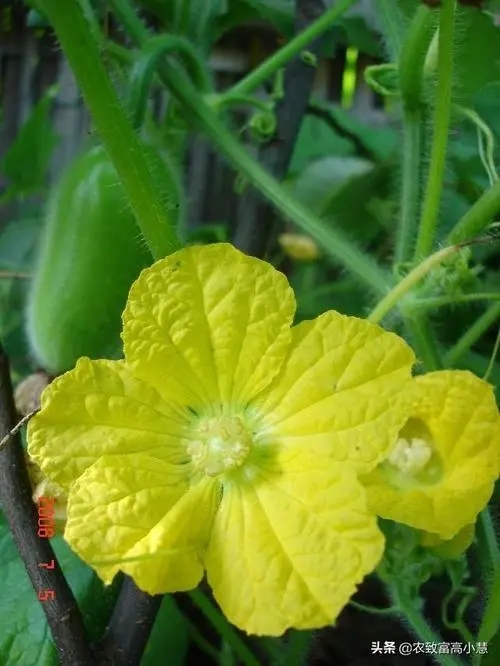 ����ʲô�r���ڷۣ������ڷ���ô����