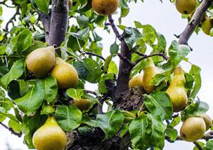 ���ɸ�����ô�������ɸ����ķ��η���