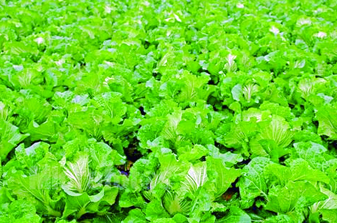 ������g������ֹ��ײ˃���