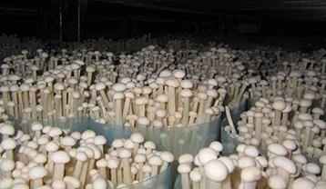 ��ᘹ��L(zh��ng)�ò����R���A(y��)����ʩ