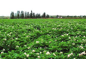 �_���Nɶ��ٍ�X��