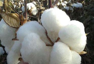 �ƌW��������޻��@�߮a