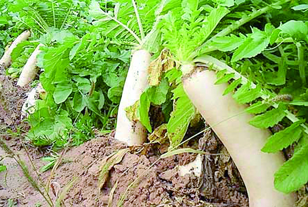 �}�����|Ҫ��ֹ����