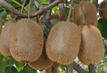 �J�����ڷەr�g����غͷ������Y