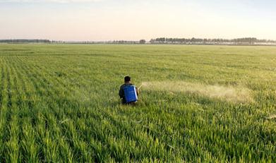 С������݄�����Щ�������x��С������݄�