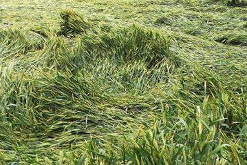 ����A(y��)��С��������С�������A(y��)������