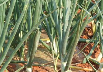 ���[˪ù���İY����ʲô�����[˪ù���ķ��η���