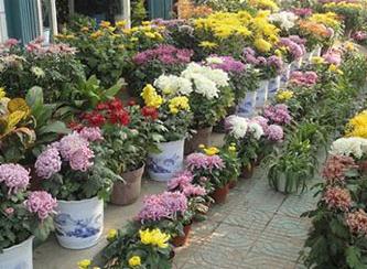 �ջ���������ô�����Ծջ����Bֳ����