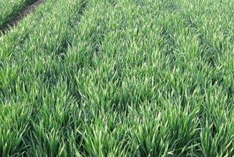 ��߮a������ע�����Ҫ��֪����