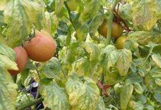 �����S�~��ô�k�������S�~���η���