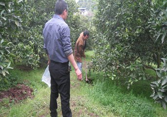 �t����ٴ��ʶ�ʩ�ٸ߮a