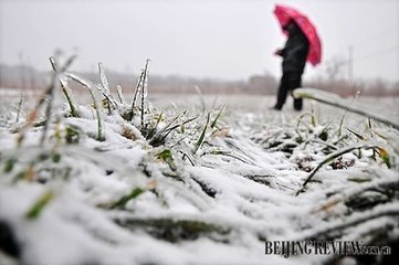 ע���ֹ��С������