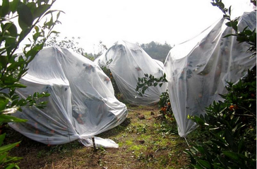 ˪������ٷ������g������