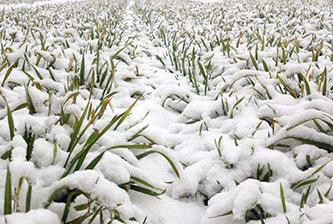 С������Ӱ푕�(hu��)�p�a(ch��n)5%-20%��С���������δ�ʩ