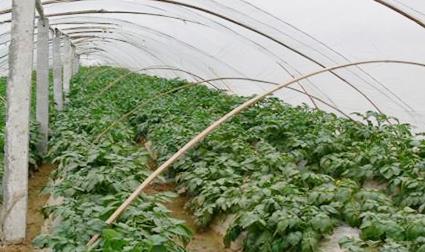 �䣬�����߲������ߡ�����������