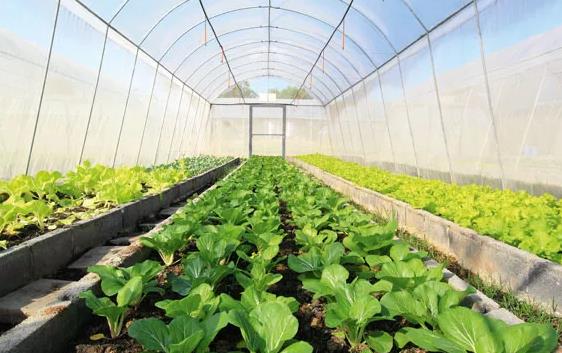 �߲�݆����ȫ��������Ҳ���������ϵK�ˣ�