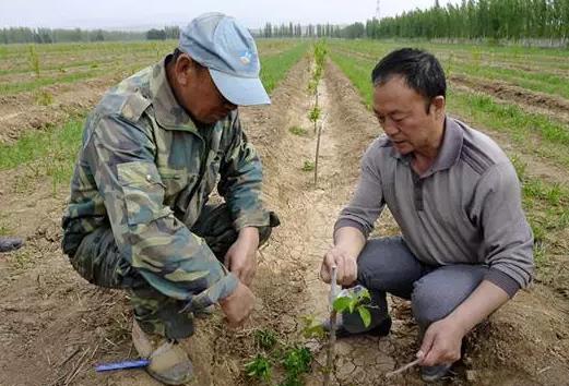 �N����ǰ�ؿ���ʮ��Ԓ������䌍Ԓ���ի@�M�M��