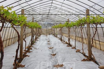 ����(ji��)�^�󣬴����@�ӹ�������Ҫ��