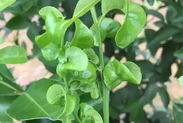 �������ٿ��Ǿ��~��զ���£�