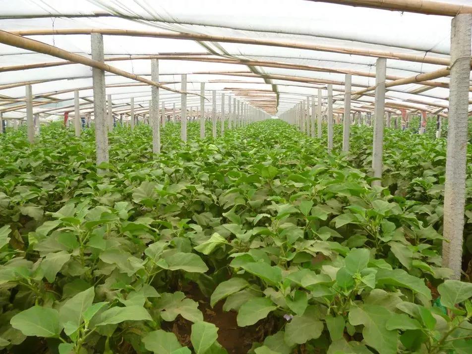 ���rע�⣺���������׃�������Ҳ�ø���׃��