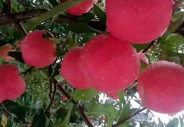 ����F���ܲ��ܝ�ˮ��ȫ��ĝ�ˮ�r�g�����@���ˣ�