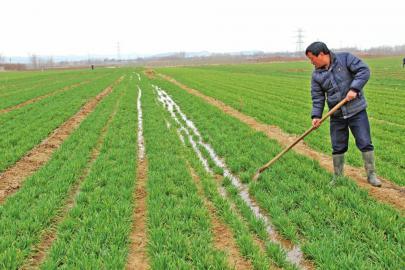 ���С������ƫ�������������@5�c���ܵø߮a��