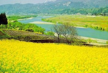 2018�괺�����Ͳ���ܼ��g