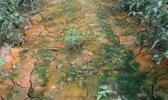 ����׃�G��׃�t��ʲôԭ�򡤡���?