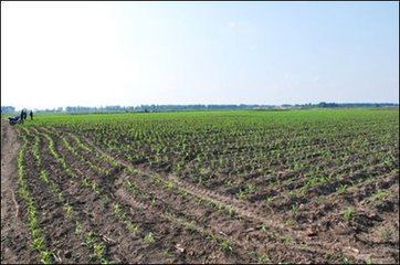 2018��|���؅^(q��)С���������g��Ҋ