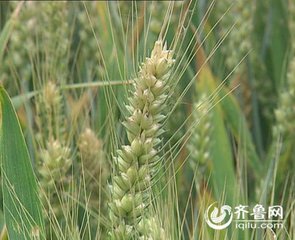 С���M��a���γ��P�I�ڣ�ע�������@��헹�����