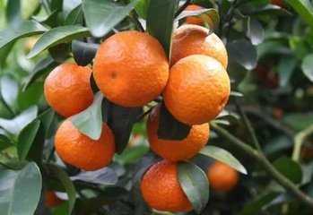 ����5�º��Ĺ������g��