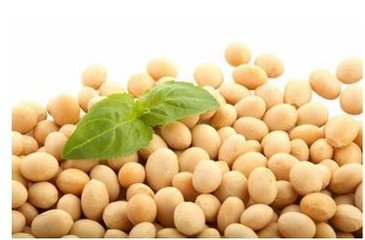 �����զ�N���r(n��ng)�I(y��)�r(n��ng)�岿���ҽo��5�У�