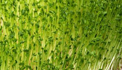 ��ѿ�����༼�g(sh��)