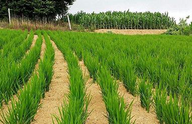 ����(b��o)�����{�Y(ji��)��(sh��)�ڸߜس��m(x��)���絾��(qu��n)��������Ҋ(ji��n)���@��