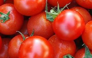 ���t���ڷNֲ���g��Ҋ�Ĳ��Y�c���η���