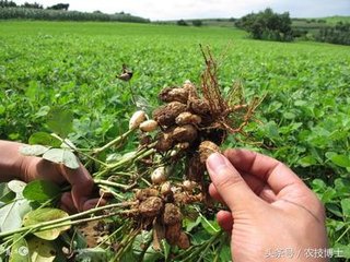 �ļ�������Ҋ(ji��n)3�N�������������ǰ��