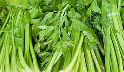 �۲�����������۲˵����༼�g(sh��)��