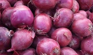 ���[��ηNֲ�����[��ʲô�r�g�Nֲ����m��